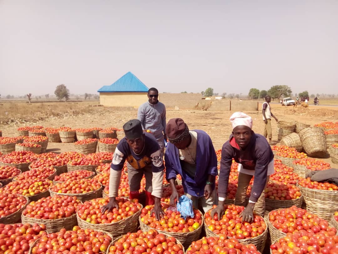 Circularity and Resource Use Efficiency in Nigeria project image 4