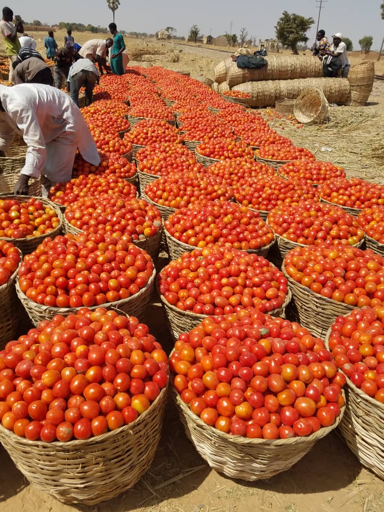 Circularity and Resource Use Efficiency in Nigeria project image 3